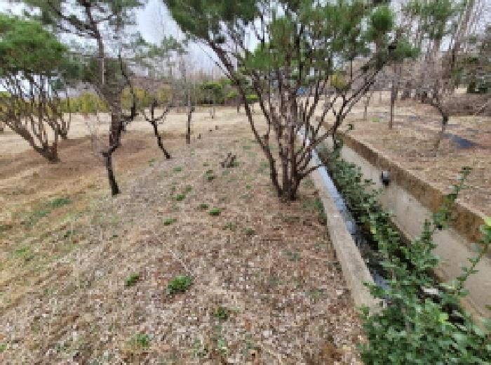 경기 김포시 통진읍 전답 경매 물건 사진 2 · 2025타경32858