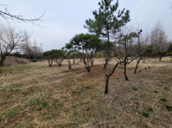 경기 김포시 통진읍 전답 경매 물건 사진 5 · 2025타경32858