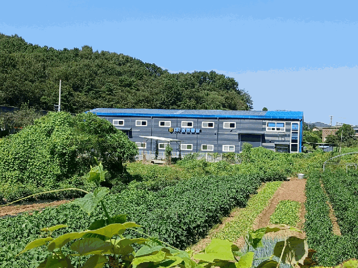 경기 김포시 통진읍 공장/지식산업센터 경매 물건 사진 5 · 2025타경3475