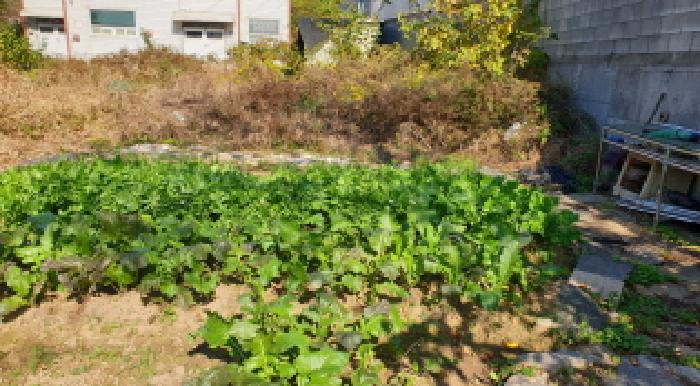 경기 김포시 고촌읍 대지 경매 물건 사진 5 · 2025타경34812