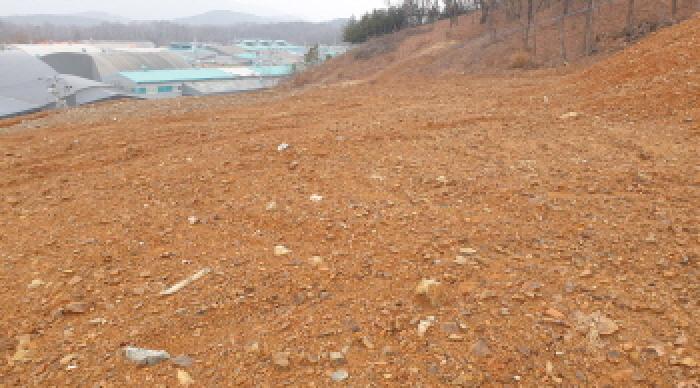 경기 김포시 월곶면 임야 경매 물건 사진 2 · 2025타경35341