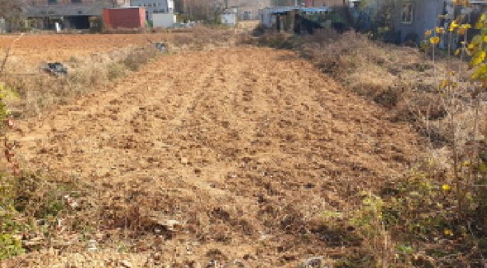 경기 김포시 대곶면 대지 경매 물건 사진 5 · 2025타경4065