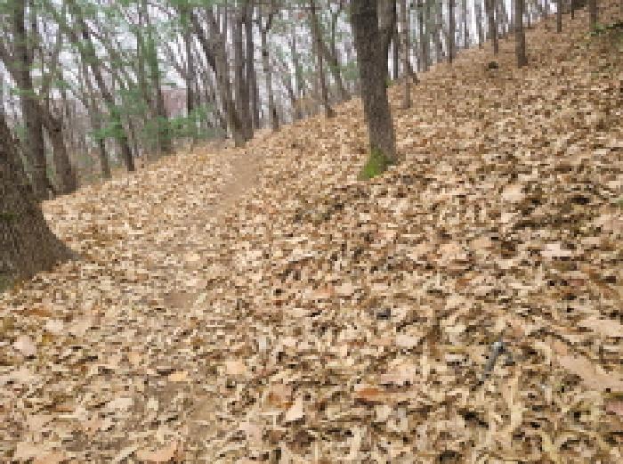 경기 부천시 소사구 심곡본동 임야 경매 물건 사진 3 · 2025타경4713