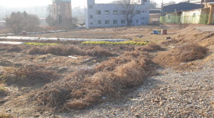 경기 김포시 통진읍 대지 경매 물건 사진