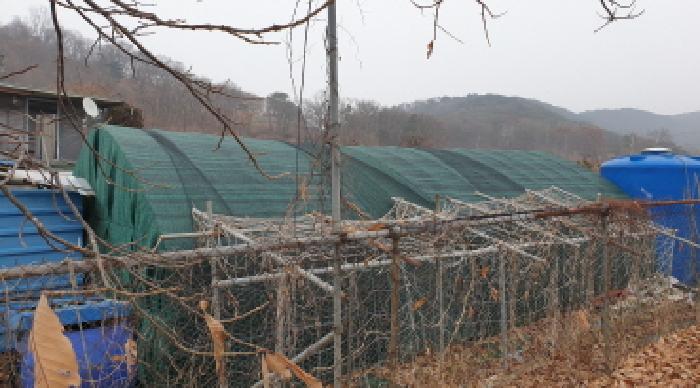 경기 김포시 통진읍 대지 경매 물건 사진 5 · 2025타경5075