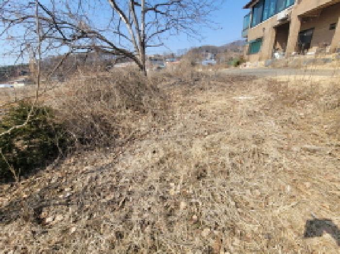 경기 김포시 하성면 단독주택 경매 물건 사진 5 · 2025타경582