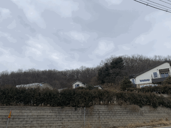 경기 김포시 월곶면 임야 경매 물건 사진 6 · 2026타경30015