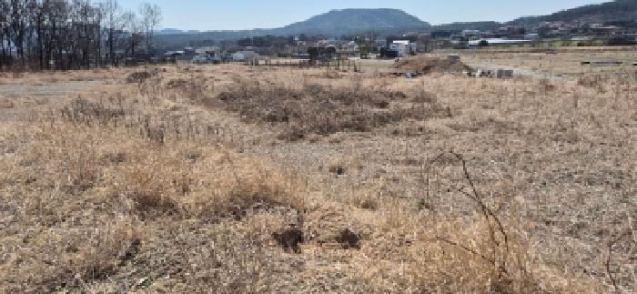 경기 김포시 월곶면 대지 경매 물건 사진
