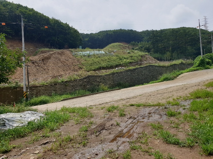경기도 용인시 처인구 모현읍 오산리 376-3 임야 경매 물건 사진