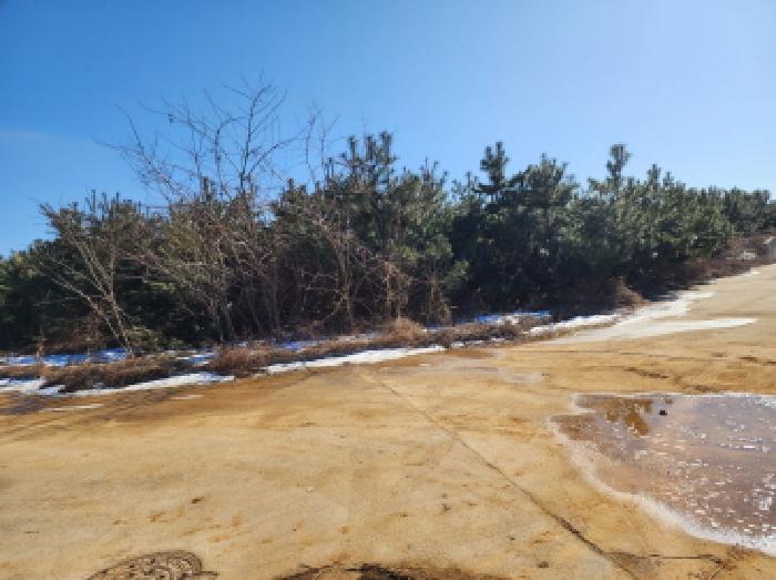 경기 화성시 송산면 임야 경매 물건 사진 4 · 2024타경103952
