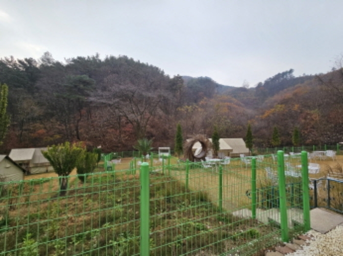 경기 용인시 처인구 유방동 단독주택 경매 물건 사진
