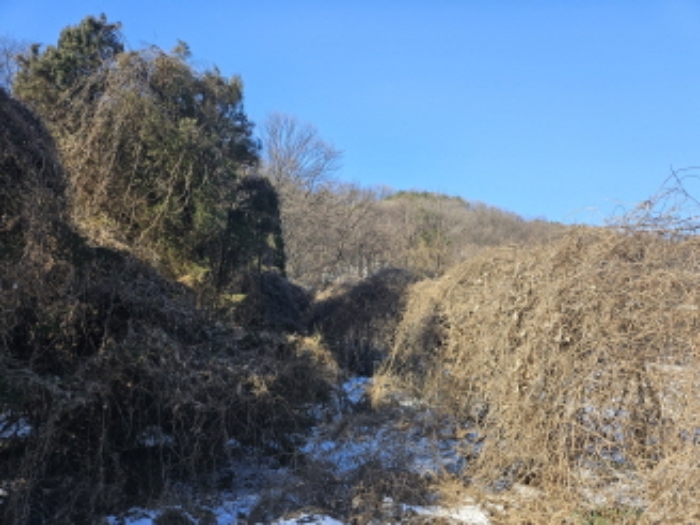 경기 화성시 정남면 임야 경매 물건 사진 5 · 2024타경51303