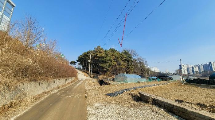 경기 화성시 정남면 임야 경매 물건 사진 4 · 2024타경51303