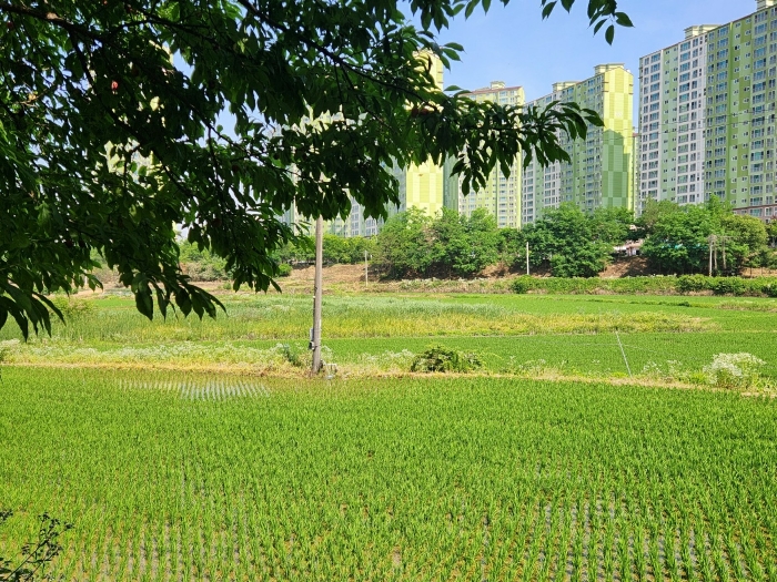 경기 화성시 향남읍 답 경매 물건 사진 6 · 2024타경74337