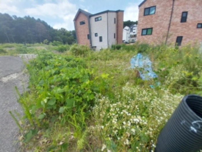 경기 용인시 기흥구 공세동 임야 경매 물건 사진 2 · 2024타경79240