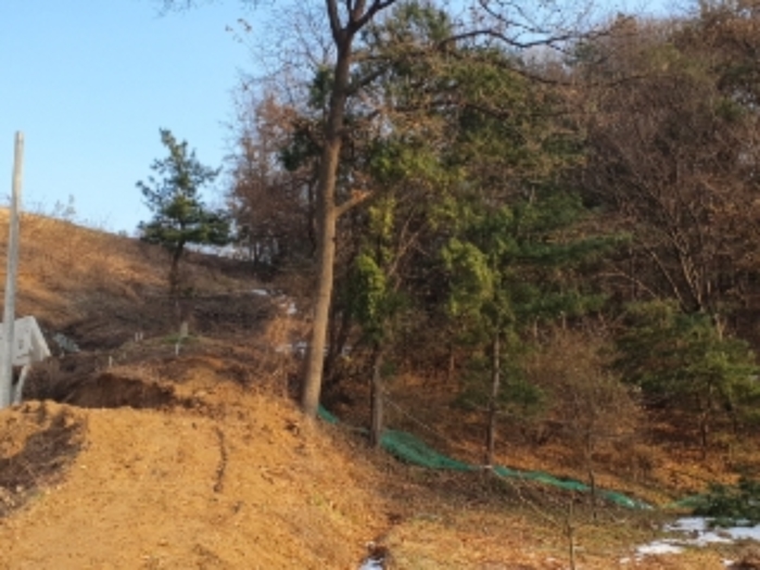 경기 화성시 봉담읍 임야 경매 물건 사진 5 · 2024타경94546