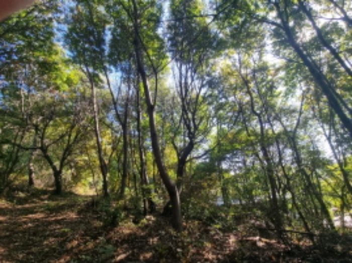 경기 화성시 송산면 임야 경매 물건 사진
