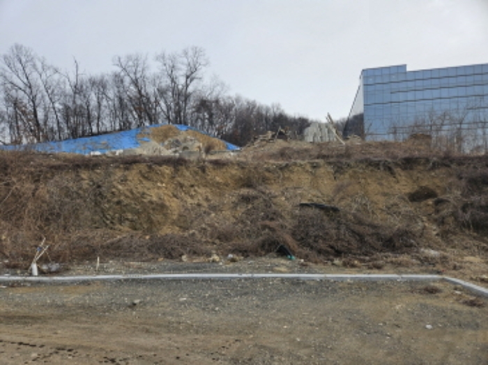 경기 용인시 기흥구 보라동 대지 경매 물건 사진 5 · 2024타경98456
