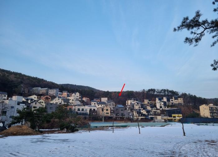 경기 용인시 수지구 동천동 임야 경매 물건 사진