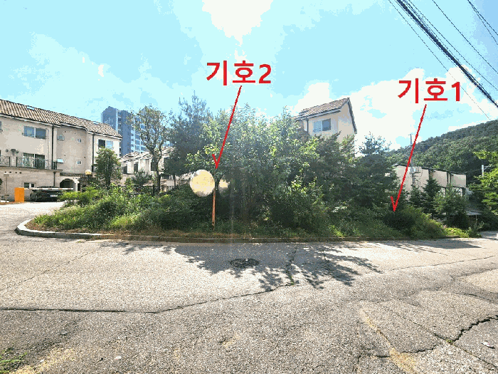 경기 용인시 기흥구 언남동 대지,임야,전답 경매 물건 사진 6 · 2025타경1491