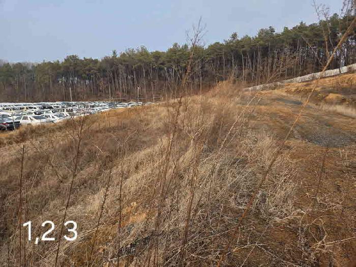경기 용인시 처인구 포곡읍 대지 경매 물건 사진 2 · 2025타경2086