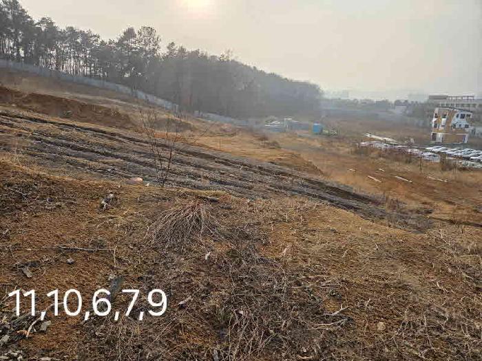 경기 용인시 처인구 포곡읍 대지 경매 물건 사진 5 · 2025타경2086