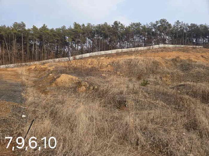 경기 용인시 처인구 포곡읍 대지 경매 물건 사진 6 · 2025타경2086