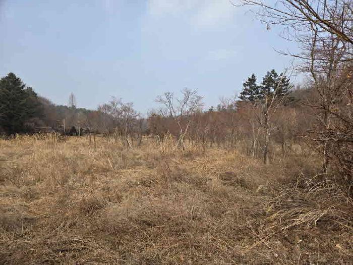 경기 용인시 처인구 남사읍 전답 경매 물건 사진