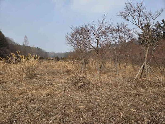 경기 용인시 처인구 남사읍 전답 경매 물건 사진 2 · 2025타경2090