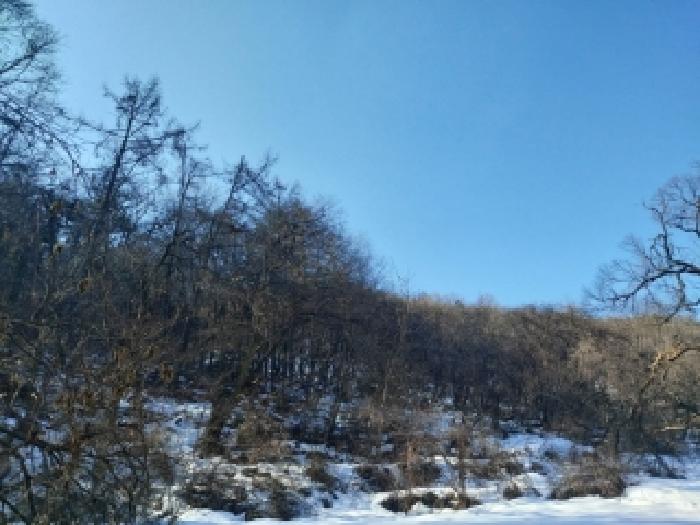경기 용인시 수지구 동천동 임야 경매 물건 사진 3 · 2025타경53092