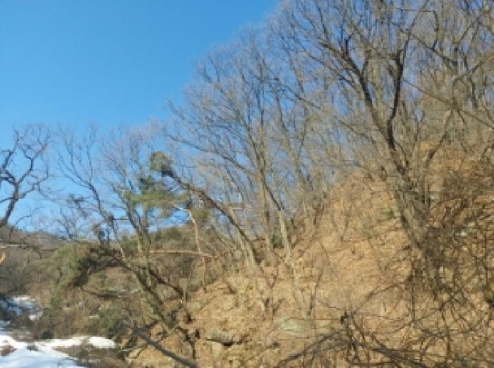경기 용인시 수지구 동천동 임야 경매 물건 사진 4 · 2025타경53092