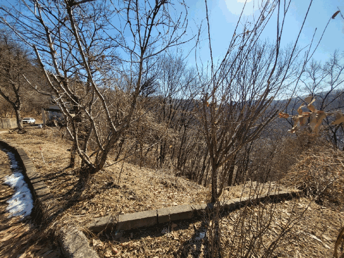 경기도 용인시 기흥구 동백동 75-317 임야 경매 물건 사진
