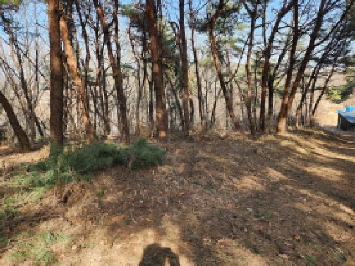 경기 화성시 송산면 임야 경매 물건 사진