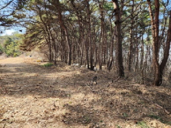 경기 화성시 송산면 임야 경매 물건 사진 3 · 2025타경54389