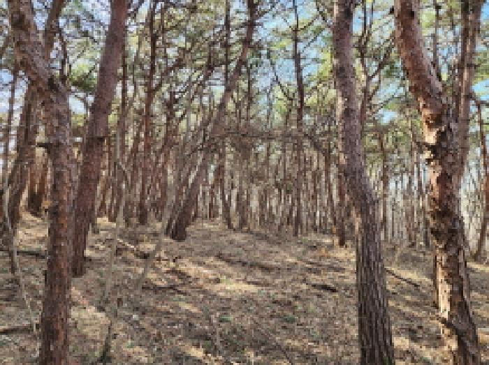 경기 화성시 송산면 임야 경매 물건 사진 4 · 2025타경54389