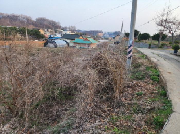 경기 화성시 우정읍 도로 경매 물건 사진