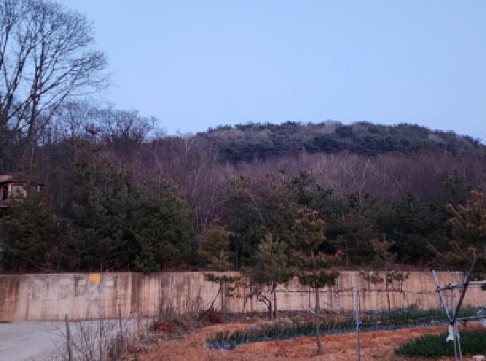 경기 화성시 서신면 임야 경매 물건 사진 3 · 2025타경55101