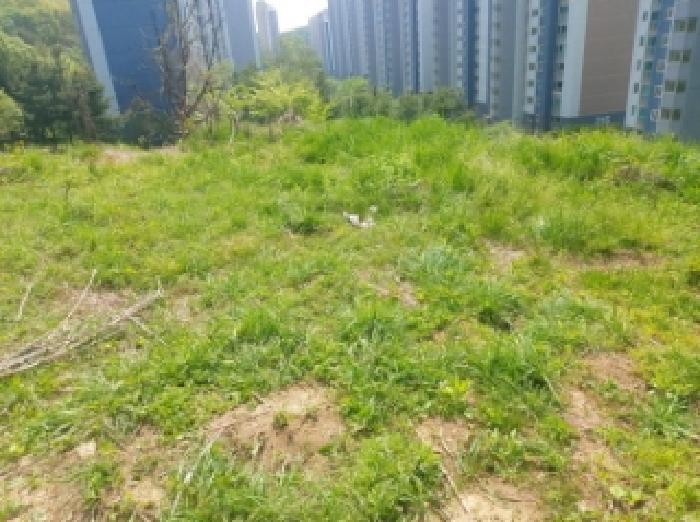 경기 용인시 수지구 신봉동 임야 경매 물건 사진