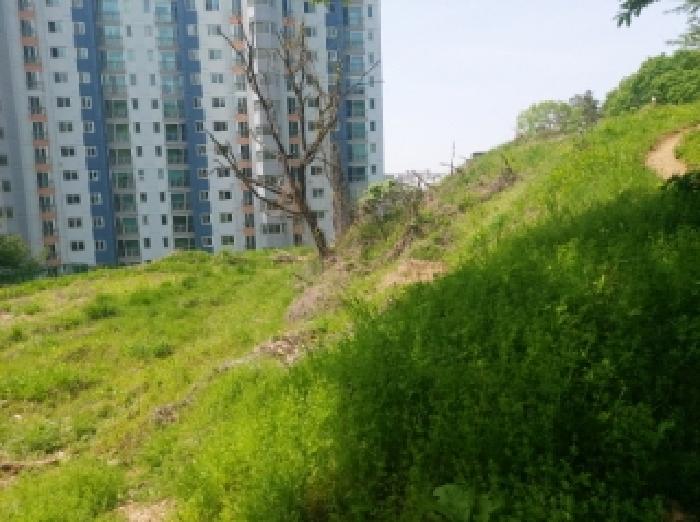 경기 용인시 수지구 신봉동 임야 경매 물건 사진 2 · 2025타경55206