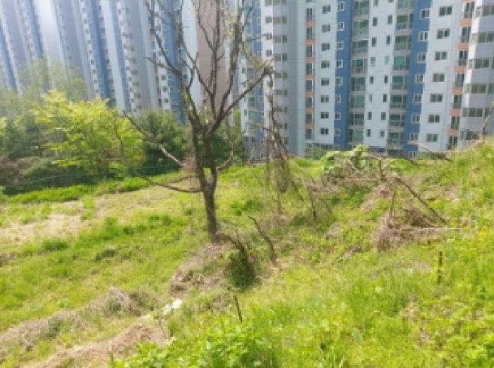 경기 용인시 수지구 신봉동 임야 경매 물건 사진 3 · 2025타경55206