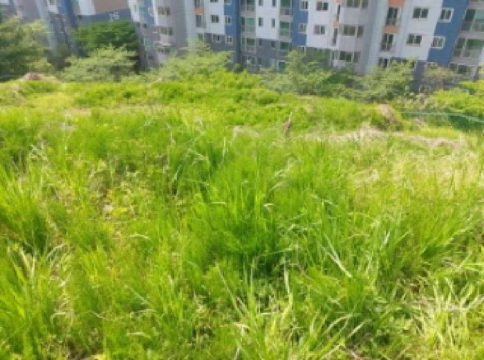 경기 용인시 수지구 신봉동 임야 경매 물건 사진 4 · 2025타경55206