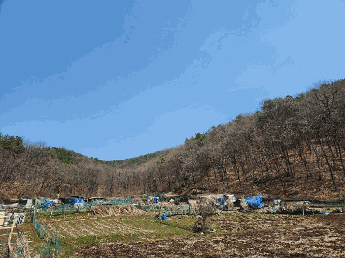 경기 용인시 처인구 고림동 임야 경매 물건 사진 4 · 2025타경55303