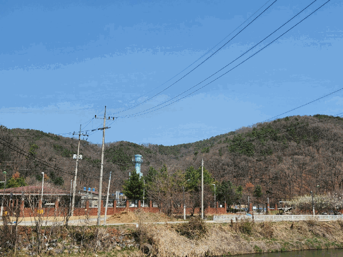 경기 용인시 처인구 고림동 임야 경매 물건 사진 3 · 2025타경55303