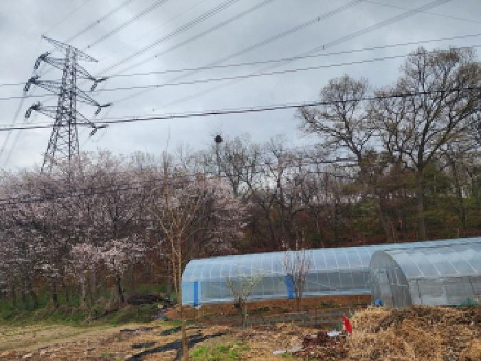 경기 화성시 매송면 임야 경매 물건 사진 3 · 2025타경55397