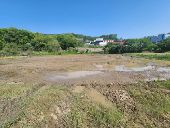 경기 화성시 남양읍 답 경매 물건 사진 2 · 2025타경55520