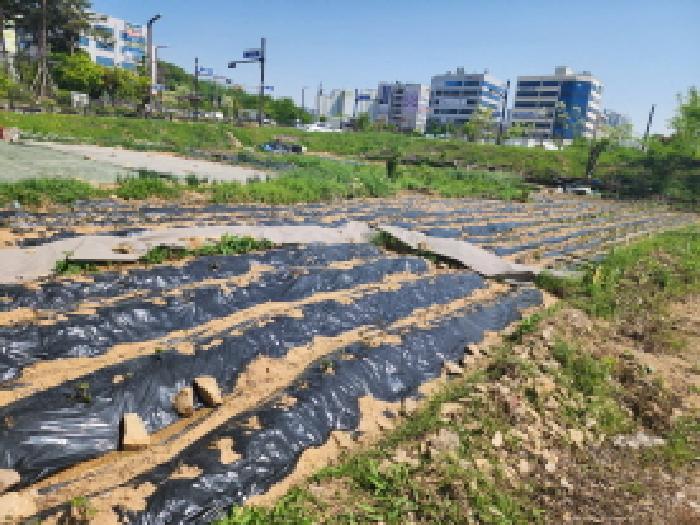경기 화성시 남양읍 대지 경매 물건 사진 2 · 2025타경55657