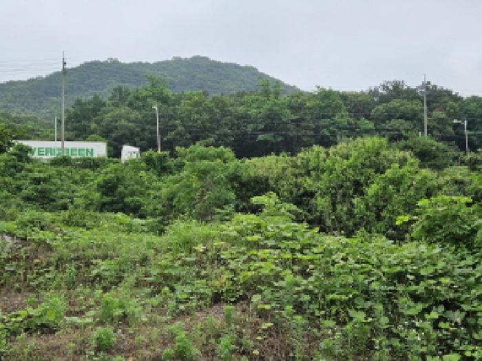 경기 용인시 처인구 원삼면 임야 경매 물건 사진 3 · 2025타경55674