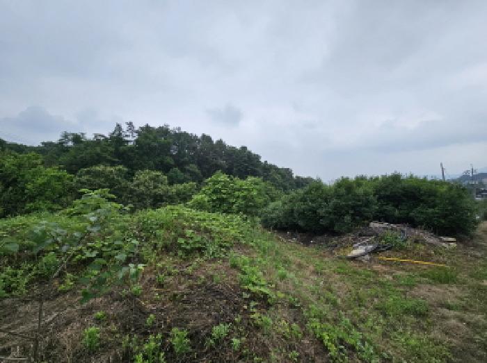 경기 용인시 처인구 원삼면 임야 경매 물건 사진 4 · 2025타경55674