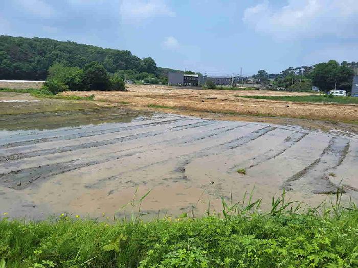 경기 화성시 향남읍 답 경매 물건 사진