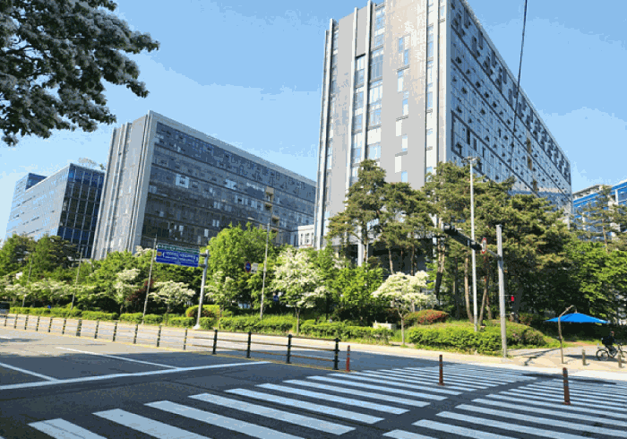 경기 용인시 기흥구 농서동 근린생활시설 경매 물건 사진 6 · 2025타경55821
